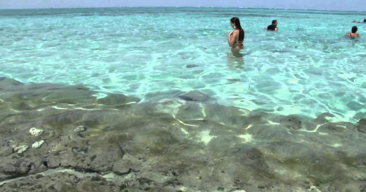 Ragione di un eczema di malattia della pelle