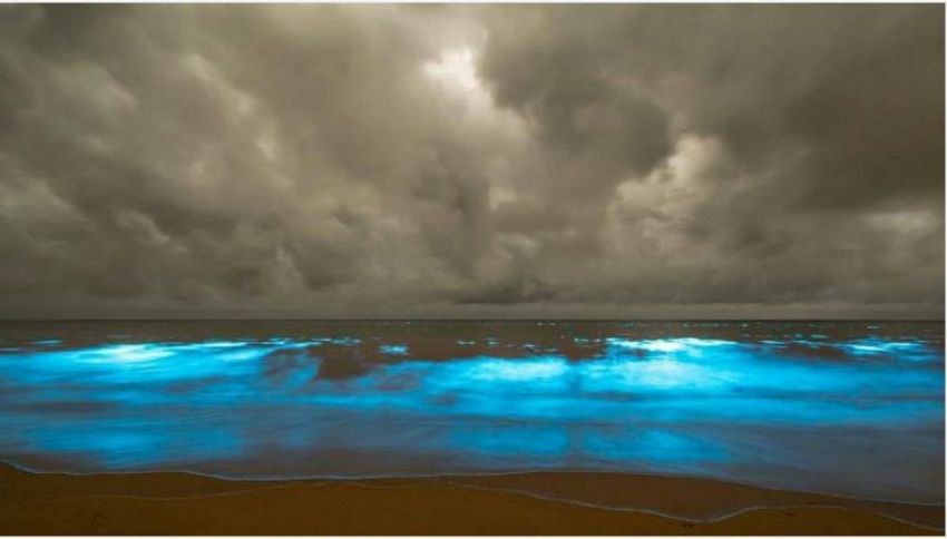 L'acqua si illumina nel mare di Tasmania Tanzania