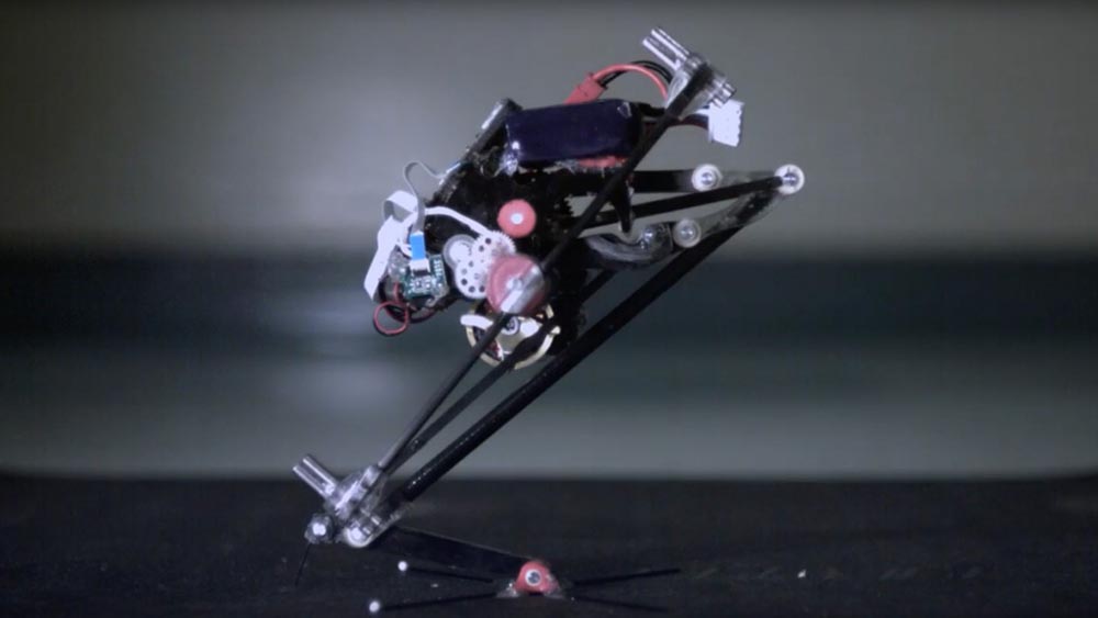 Salto, il robot acrobatico in grado di riconoscere e superare ostacoli