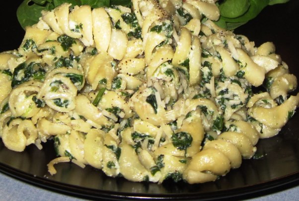 Eliche profumate al basilico e ricotta
