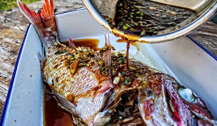 Dentice rosso con salsa al coriandolo