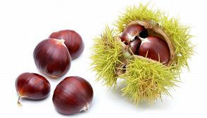 Castagne, caratteristiche e ricette
