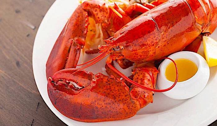 Aragosta, caratteristiche e ricette