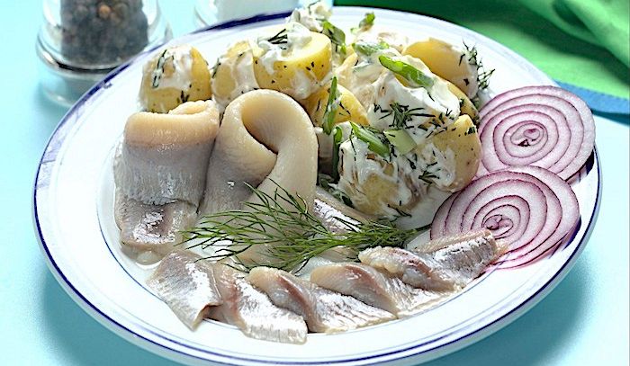 Aringa, caratteristiche e ricette