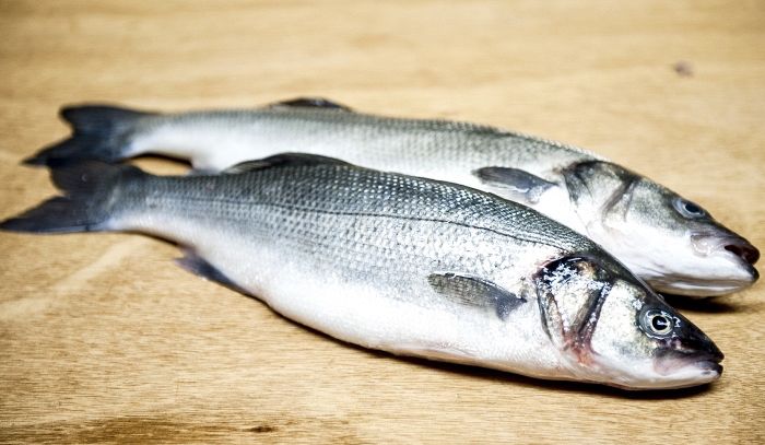 Branzino, caratteristiche e ricette