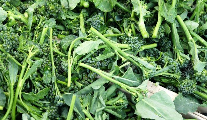 Broccoletti, caratteristiche e ricette