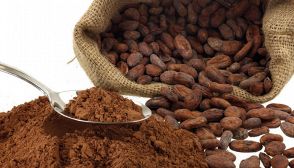 Cacao, proprietà e ricette