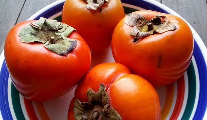 Cachi, caratteristiche e ricette