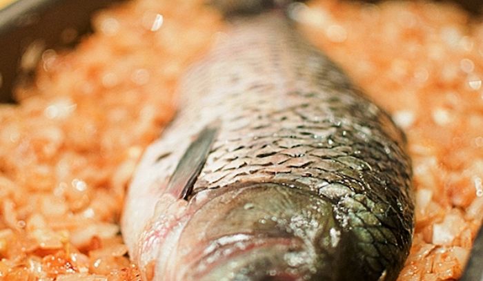 Carpa, caratteristiche e ricette