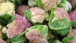 Cavolfiore, caratteristiche e ricette