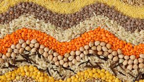 Cereali, caratteristiche e ricette