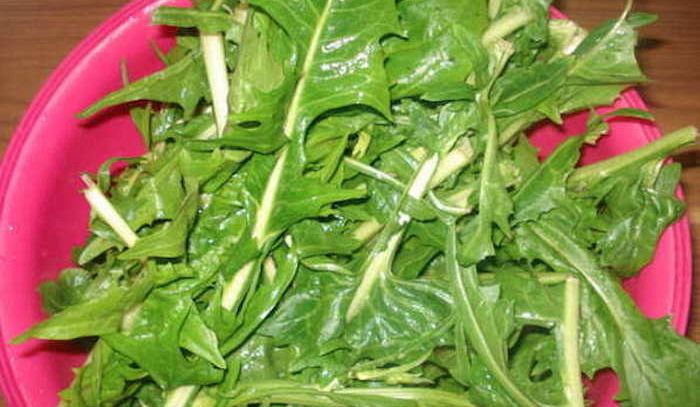 Cicoria, caratteristiche e ricette