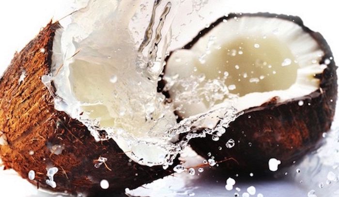 Cocco, caratteristiche e ricette