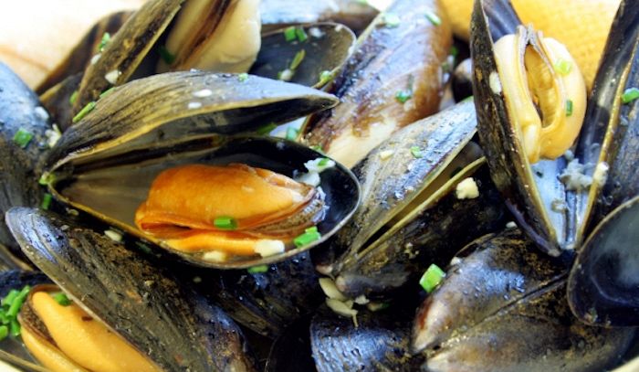 Cozze, caratteristiche e ricette