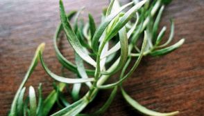 Erbe aromatiche