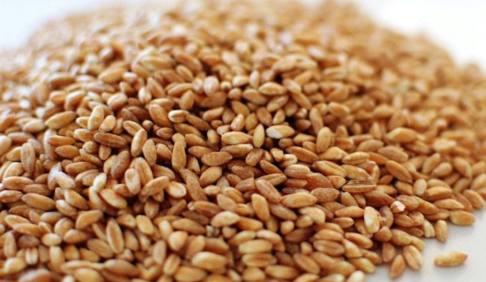 Farro, caratteristiche e ricette