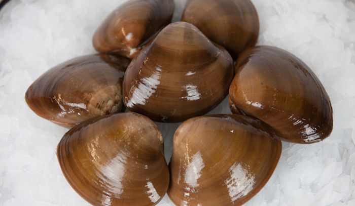 Fasolari, caratteristiche e ricette