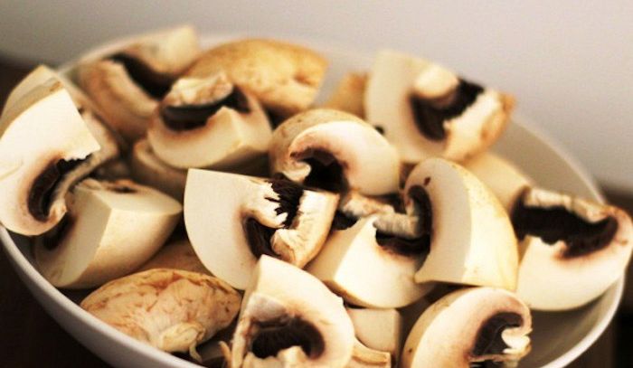 Funghi, caratteristiche e ricette