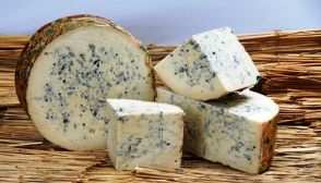 Gorgonzola, caratteristiche e ricette