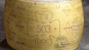 Grana Padano, caratteristiche e ricette