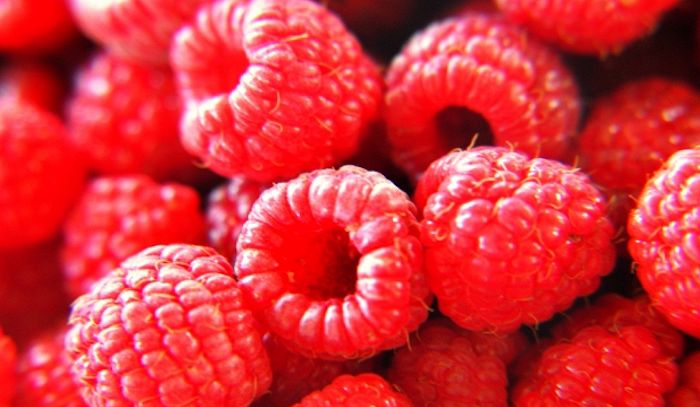 Lamponi, caratteristiche e ricette