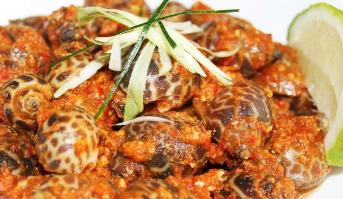 Lumache di mare