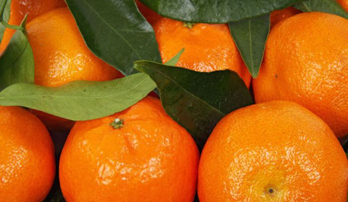 Mandarini, caratteristiche e ricette