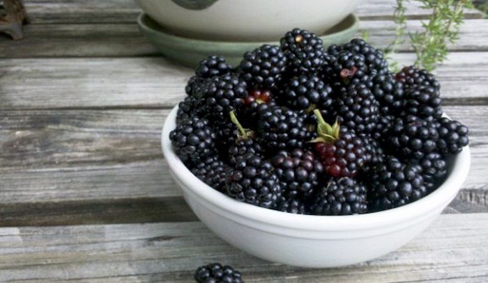More, caratteristiche e ricette