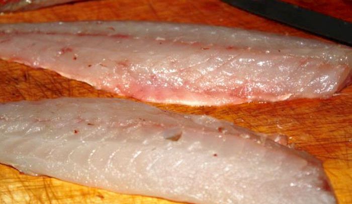 Palombo, caratteristiche e ricette