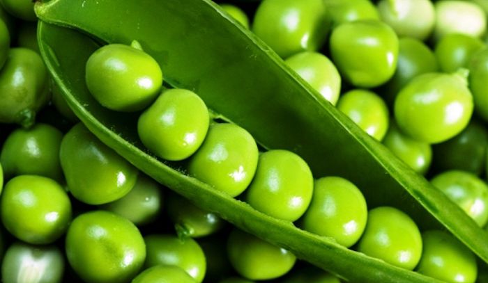 Piselli, caratteristiche e ricette