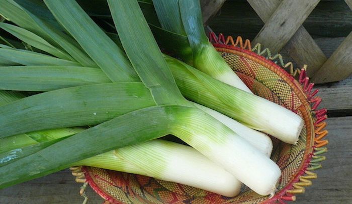 Porri, caratteristiche e ricette