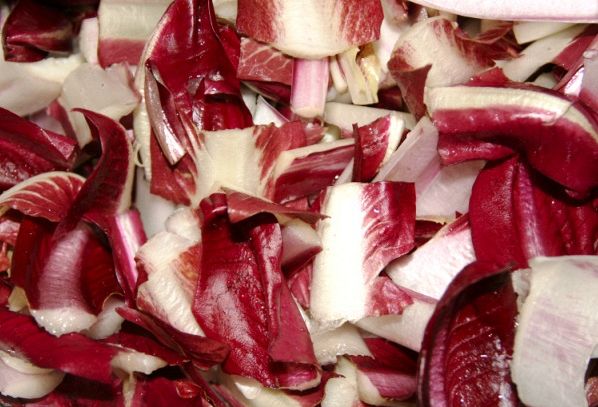 Radicchio, caratteristiche e ricette