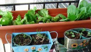 Realizzare un biobalcone