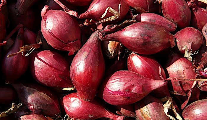 Scalogno, proprietà e ricette