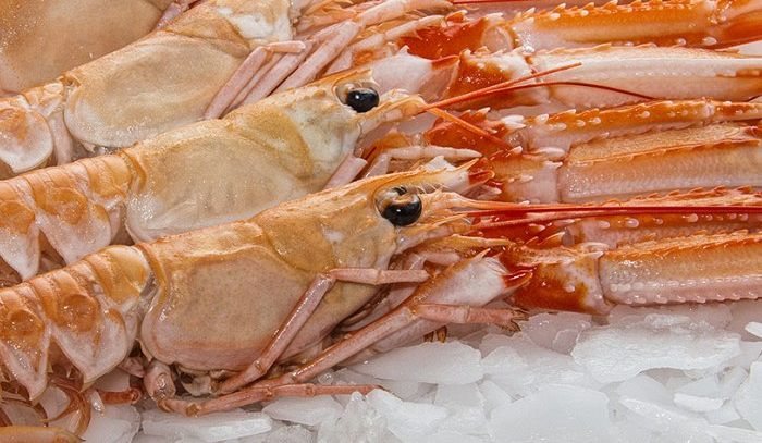 Scampi, caratteristiche e ricette