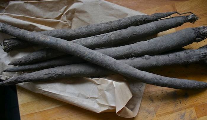 Scorzonera, caratteristiche e ricette