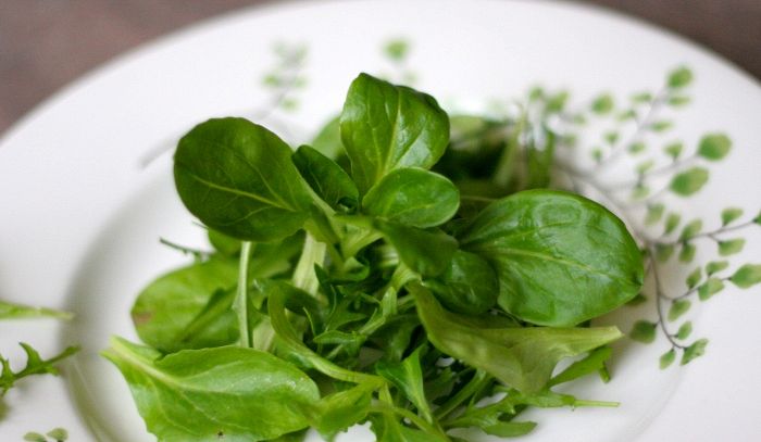 Songino, caratteristiche e ricette