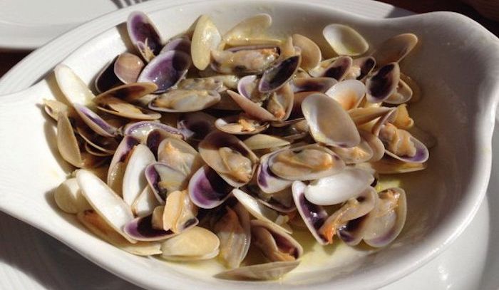 Telline, caratteristiche e ricette
