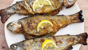 Trota, caratteristiche e ricette