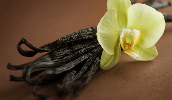 Vaniglia, caratteristiche e ricette