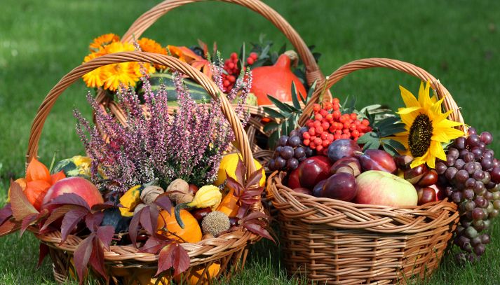 Frutta e verdura di stagione: Novembre