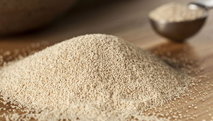 Lievito di birra, madre, cremor tartaro, bicarbonato: quale usare