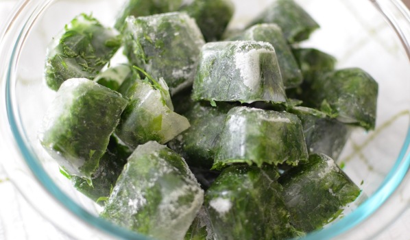 Conserviamo le erbe aromatiche