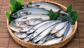 Teniamoci in forma con il pesce azzurro