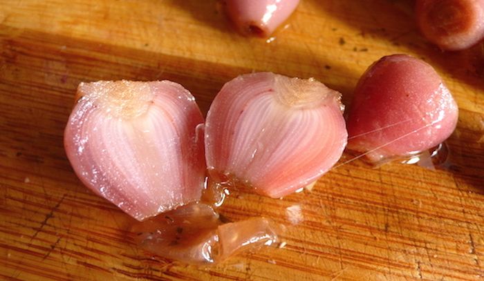 Lampascioni, caratteristiche e ricette