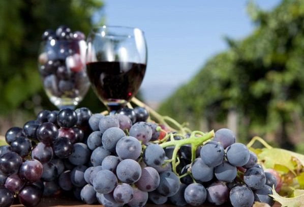 I vini DOC del Lago di Garda in Lombardia