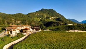 I vini DOC del Trentino Alto Adige