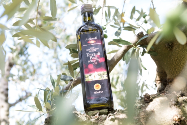Come si riconosce un olio d'oliva di qualità?