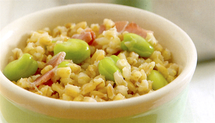 Orzo con fave e pancetta