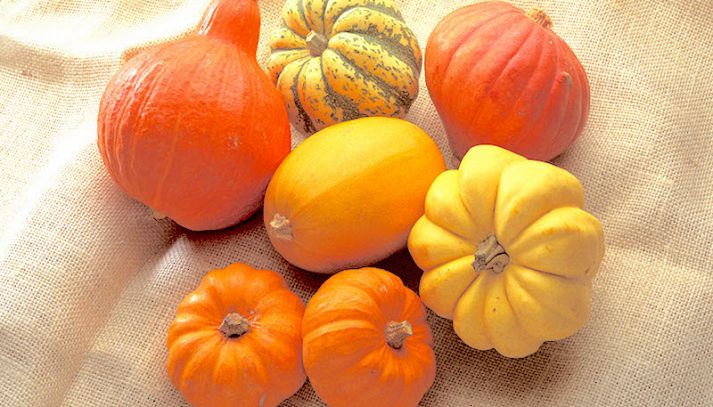 I valori nutrizionali della zucca